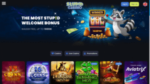 Stupid Casino avis : ce qu’on retient en décortiquant vraiment le parcours